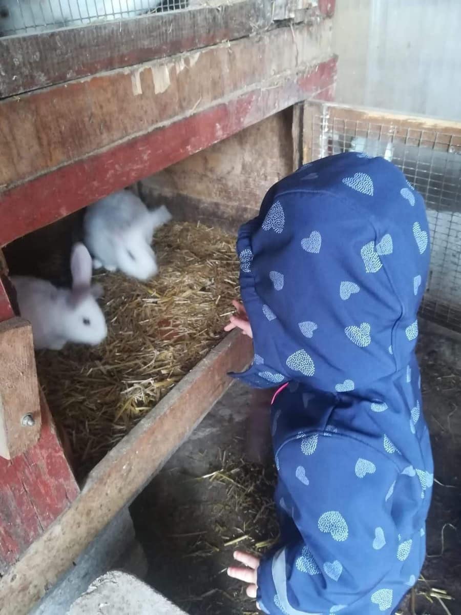 Kind von hinten beobachtet Kaninchen